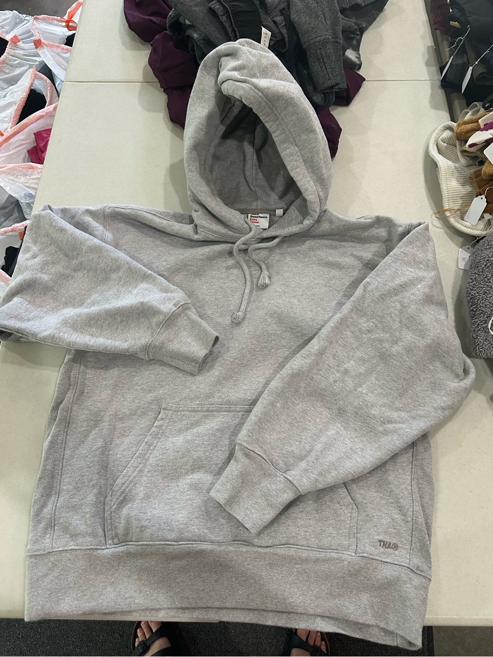 Aritzia hoodie